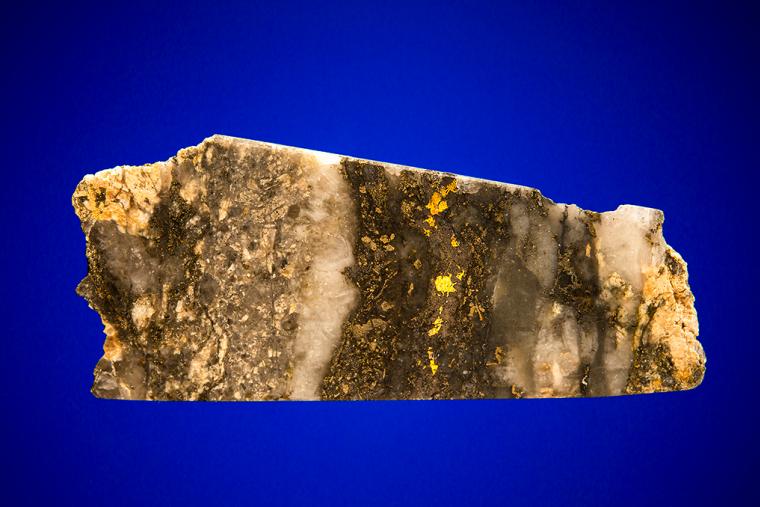 GOLD with HESSITE, PETZITE, and PYRITE
