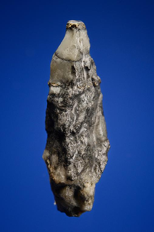 GOLD with HESSITE, PETZITE, and PYRITE