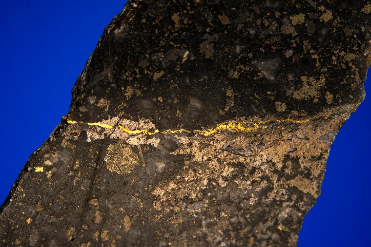 GOLD with HESSITE, PETZITE, and PYRITE