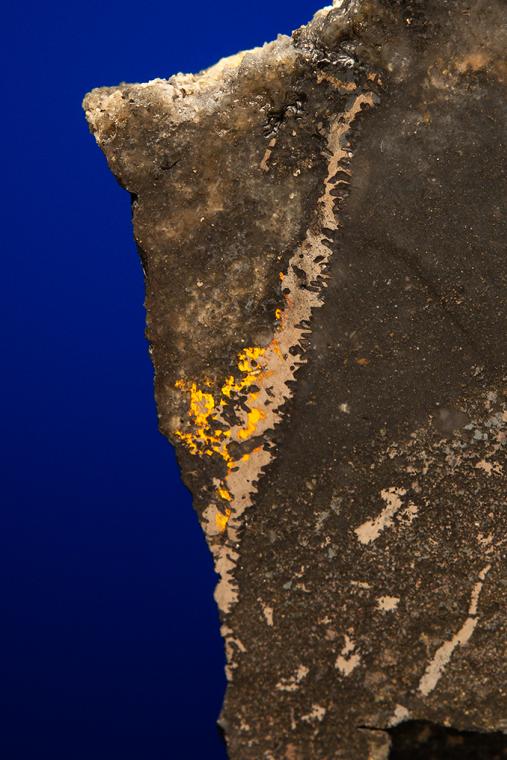 GOLD with HESSITE, PETZITE and PYRITE