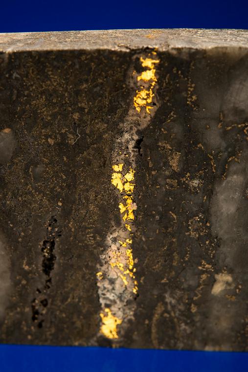 GOLD with HESSITE, PETZITE, and PYRITE