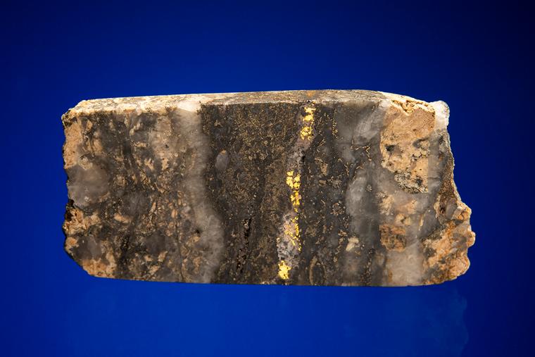 GOLD with HESSITE, PETZITE, and PYRITE