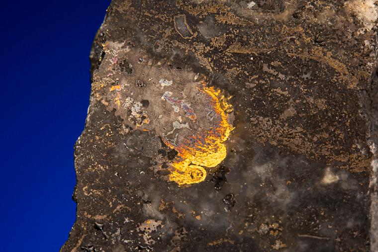 GOLD with HESSITE, PETZITE, and PYRITE