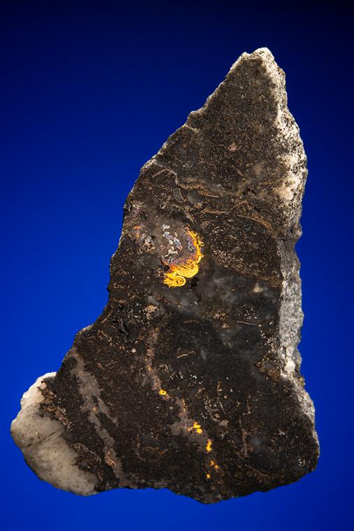 GOLD with HESSITE, PETZITE, and PYRITE