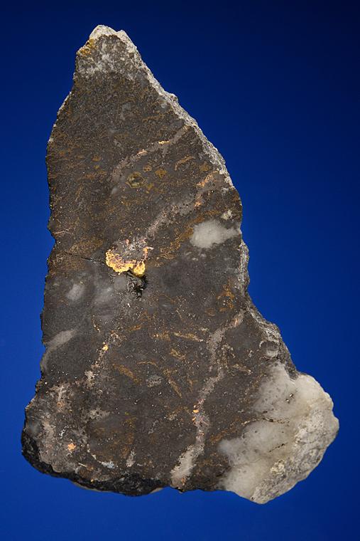 GOLD with HESSITE, PETZITE, and PYRITE