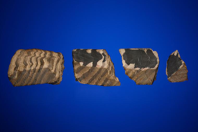 PETRIFIED WOOD