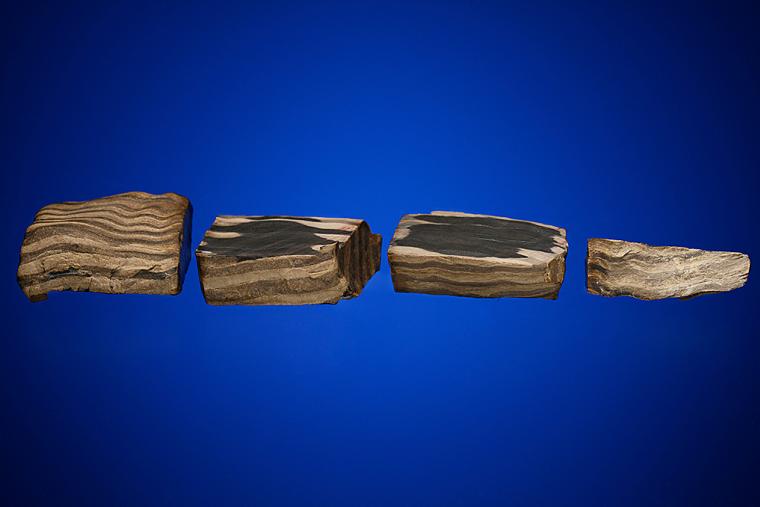 PETRIFIED WOOD
