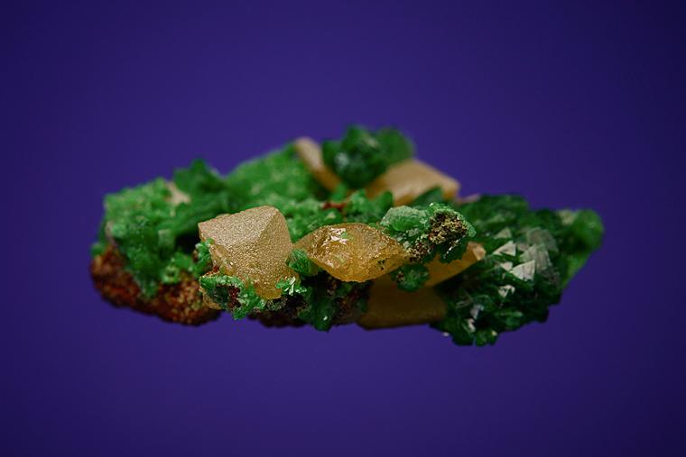 ZINCOLIVENITE on WULFENITE