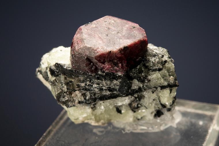 EUDIALYTE