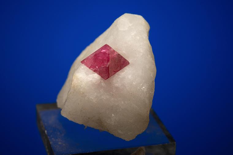 SPINEL