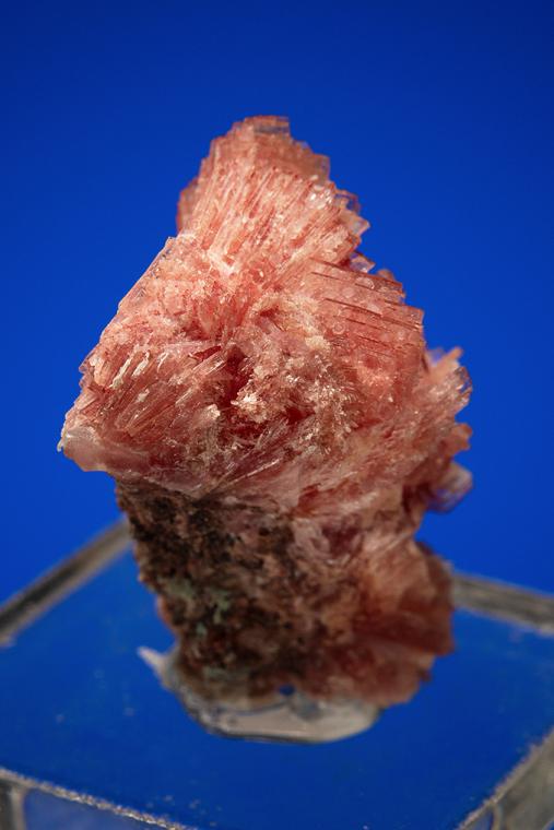 INESITE