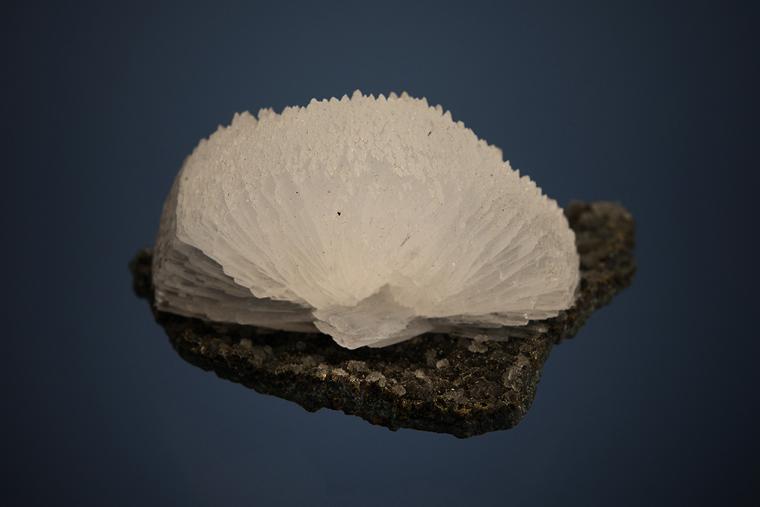 EPISTILBITE