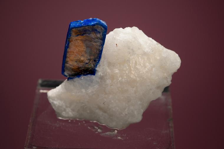 LAZURITE var. Lapis Lazuli on PHLOGOPITE