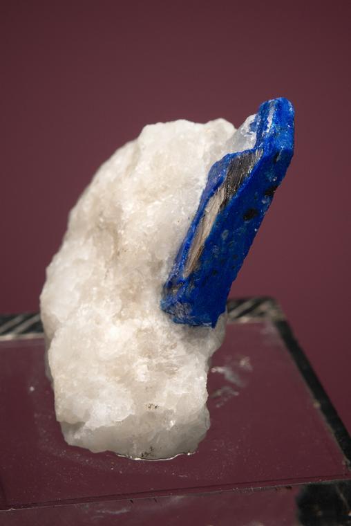 LAZURITE var. Lapis Lazuli on PHLOGOPITE