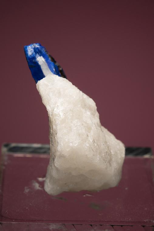 LAZURITE var. Lapis Lazuli on PHLOGOPITE