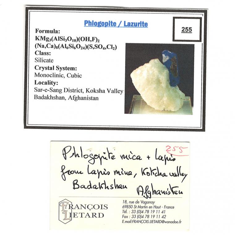 LAZURITE var. Lapis Lazuli on PHLOGOPITE