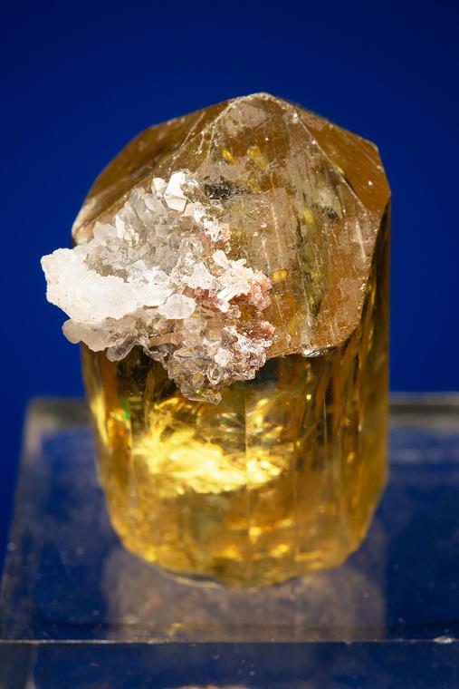 FLUORAPATITE