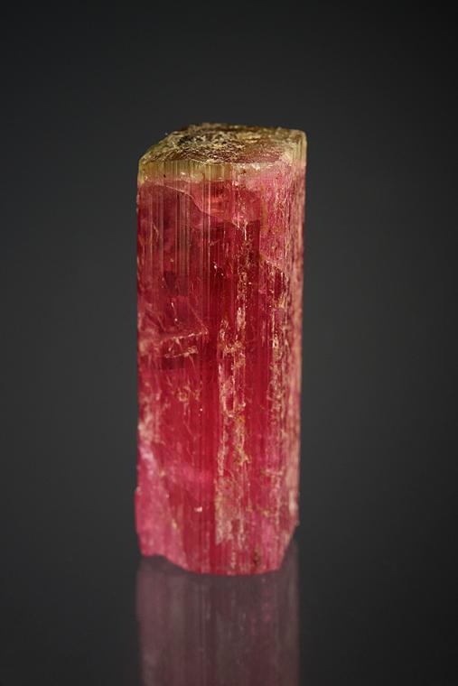 FLUOR-LIDDICOATITE
