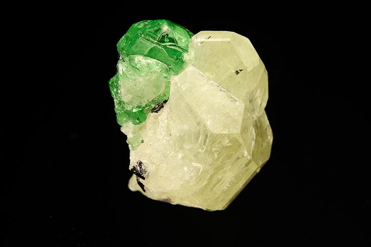 GROSSULAR var. Tsavorite on DIOPSIDE