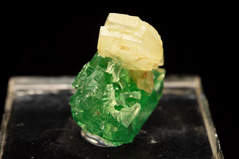 PREHNITE on GROSSULAR var. Tsavorite