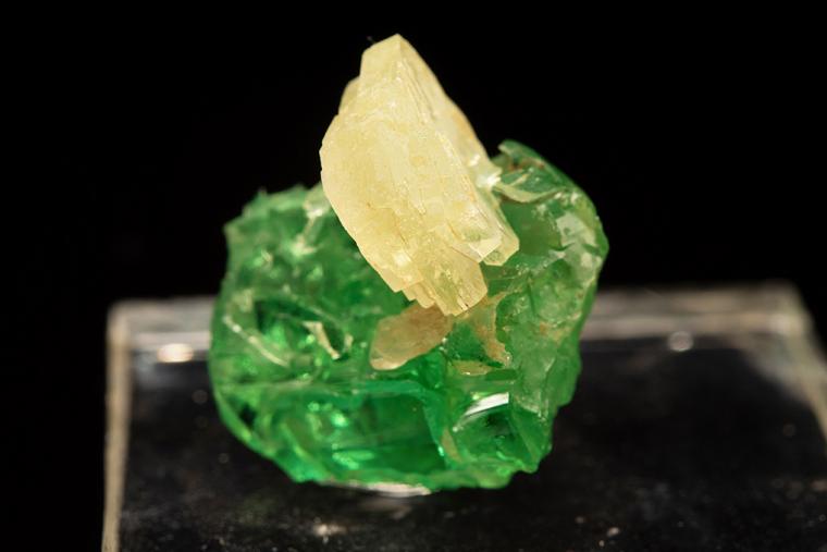 PREHNITE on GROSSULAR var. Tsavorite