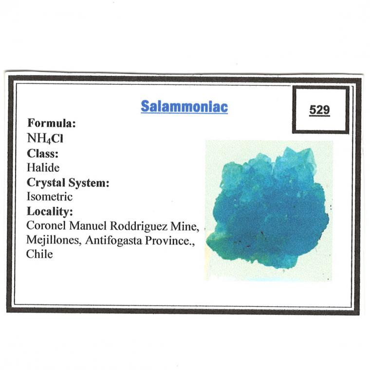 SALAMMONIAC