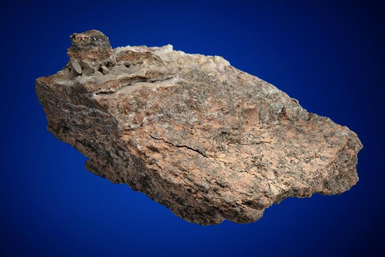 GOLD with QUARTZ and GALENA