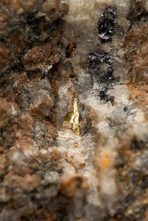GOLD with QUARTZ and GALENA