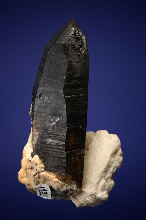 QUARTZ var. Smoky with ALBITE