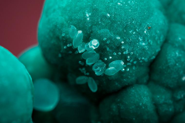 AURICHALCITE with SMITHSONITE