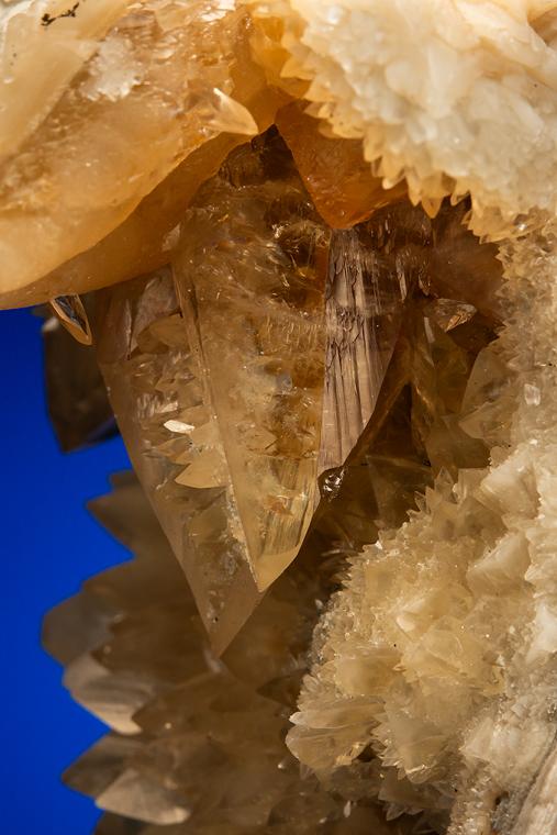 CALCITE in Shell Fossil (Mercenaria Permagna)