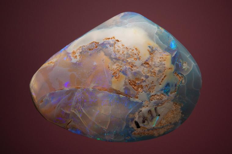 OPAL after Clam