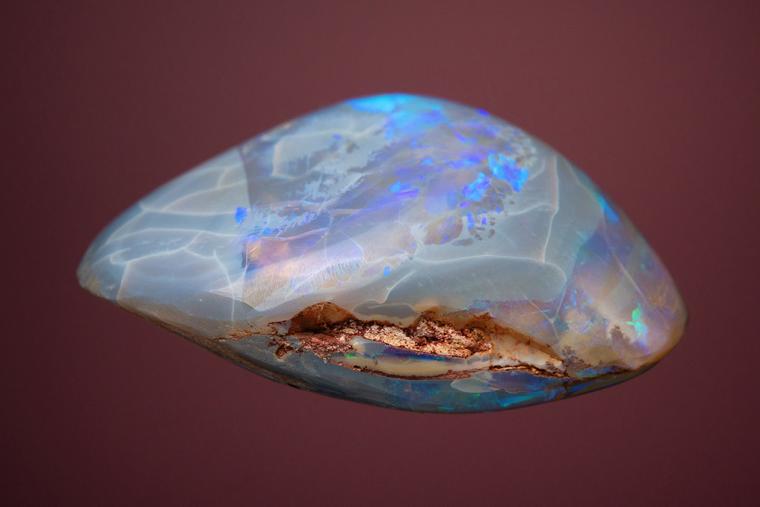 OPAL after Clam