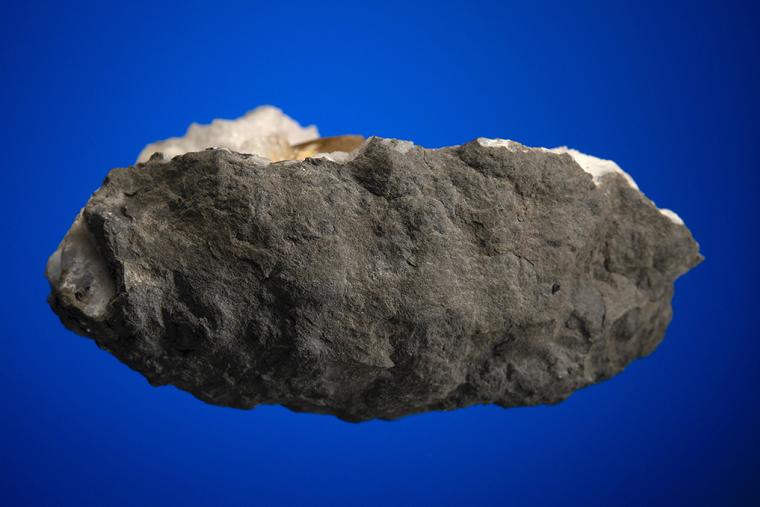 CELESTINE