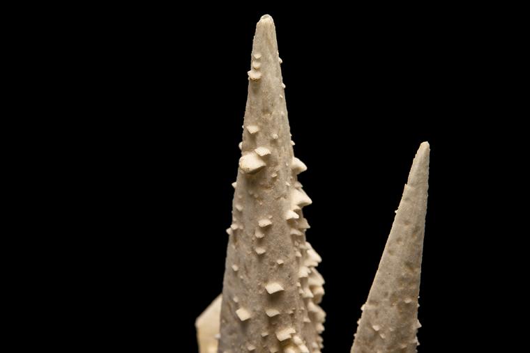 BENSTONITE on CALCITE