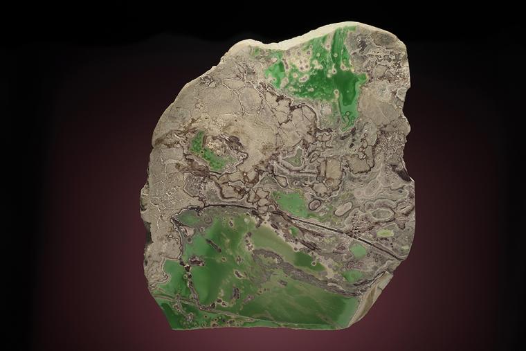 VARISCITE