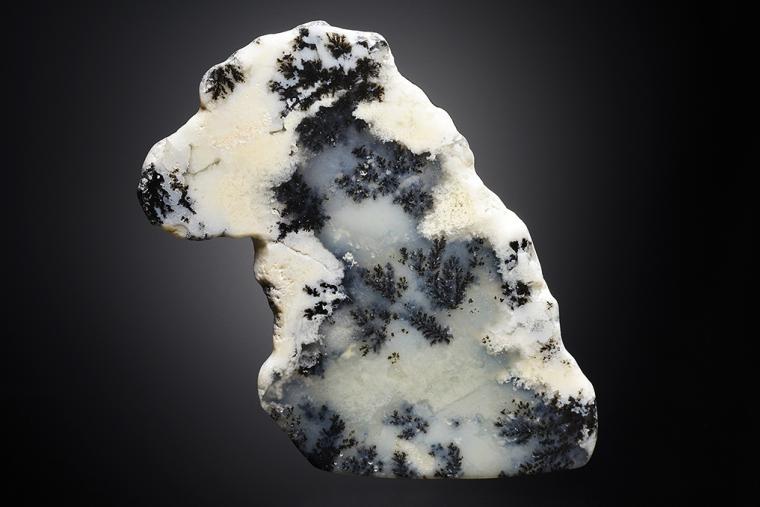QUARTZ var. Plume Agate