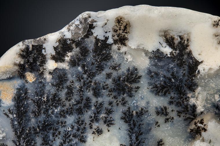 QUARTZ var. Plume Agate