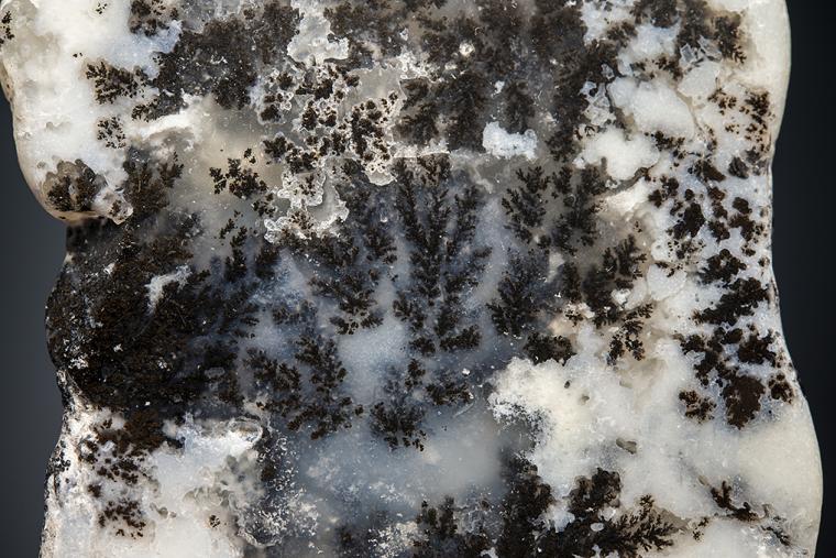 QUARTZ var. Plume Agate