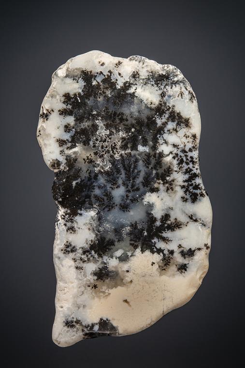QUARTZ var. Plume Agate
