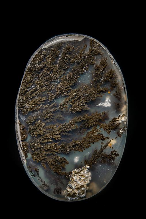 QUARTZ var. Plume Agate