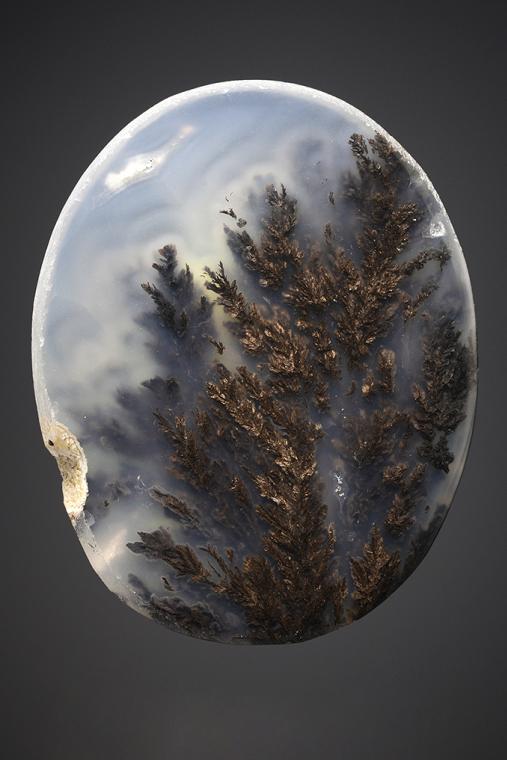 QUARTZ var. Plume Agate