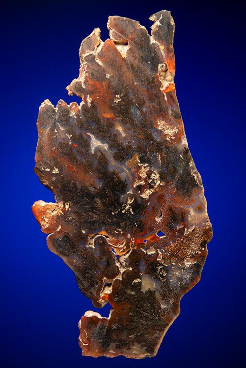 QUARTZ var. Plume Agate