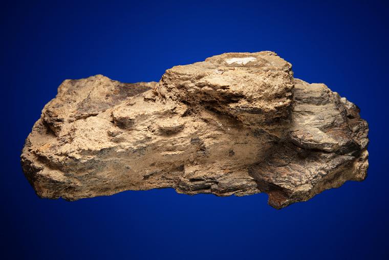 Meteoritic IRON Shale