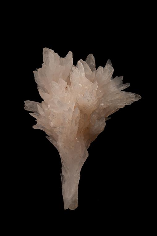 manganoan CALCITE