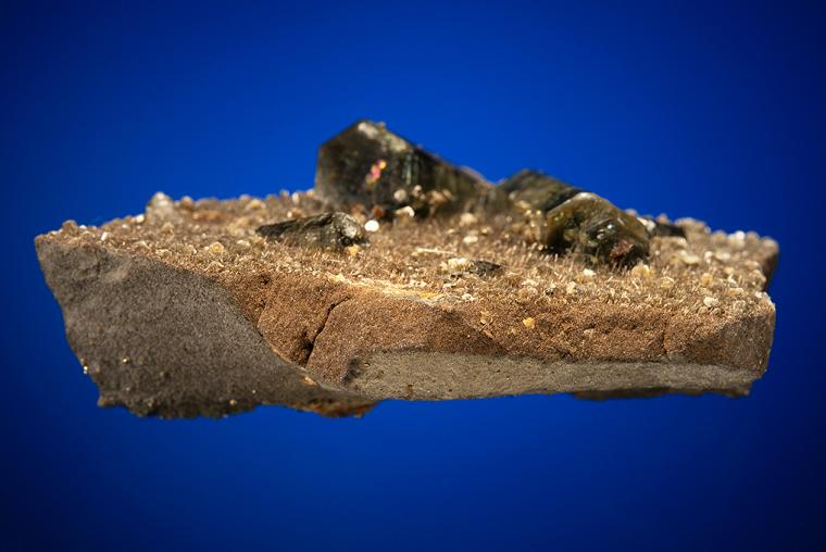 FLUORAPATITE with Tourmaline on MICA