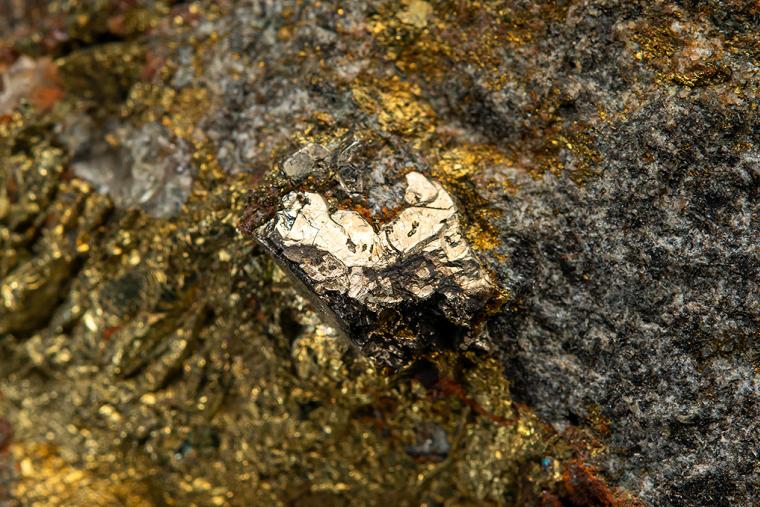 ARSENOHAUCHECORNITE in CHALCOPYRITE