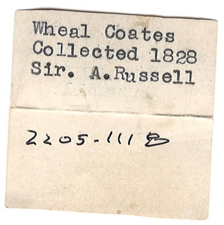 CASSITERITE after ORTHOCLASE