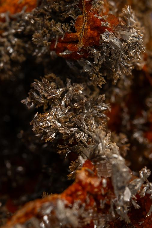 VANADINITE var. Endlichite