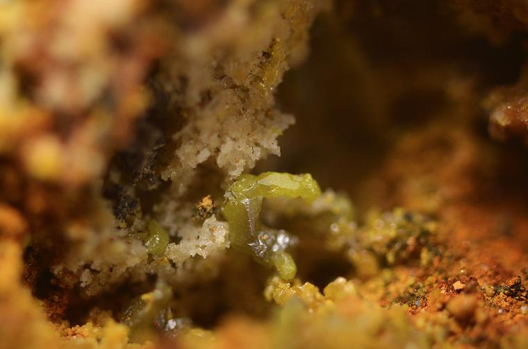 CHLORARGYRITE on PYROMORPHITE / MIMETITE and GALENA